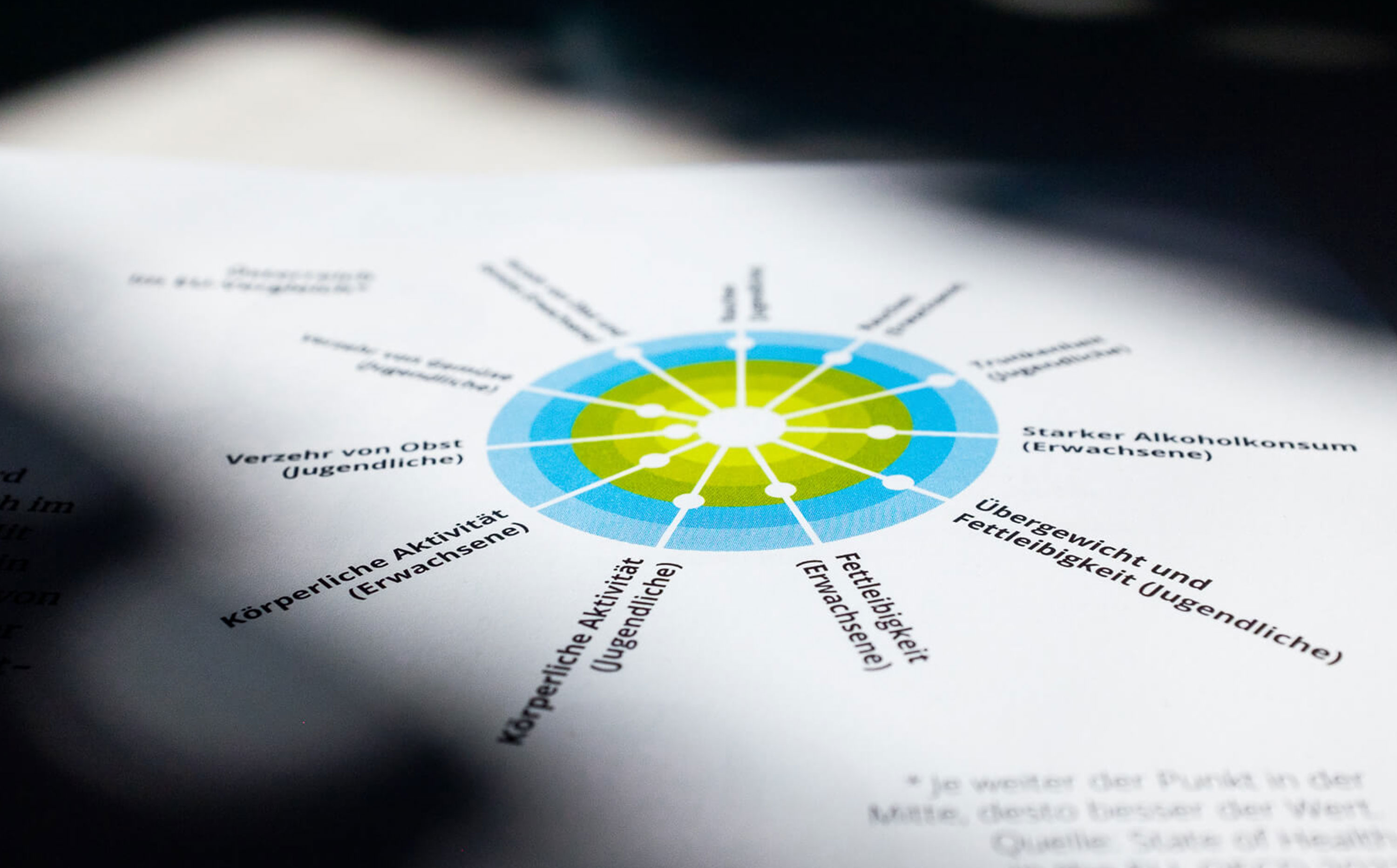 Herba Chemosan,redesign,Magazin,infografik