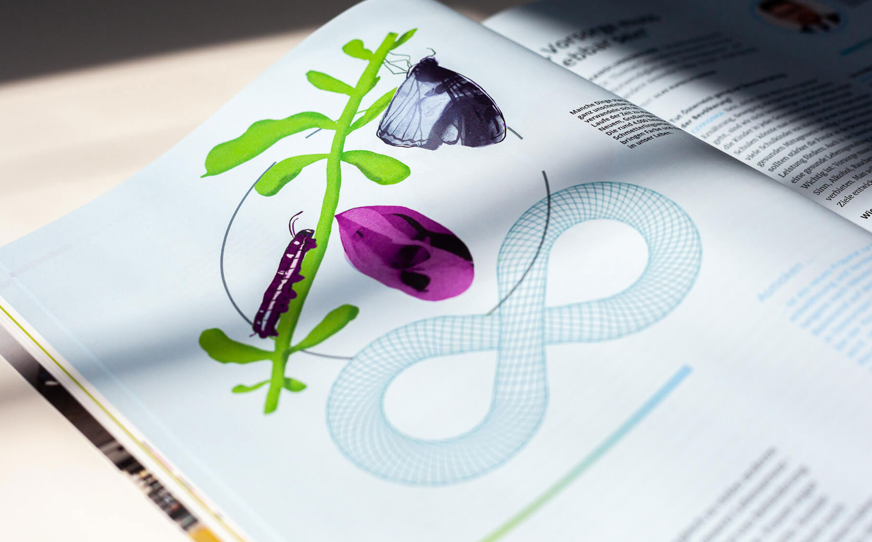 Herba Chemosan,redesign,Magazin,illustration,kreativ