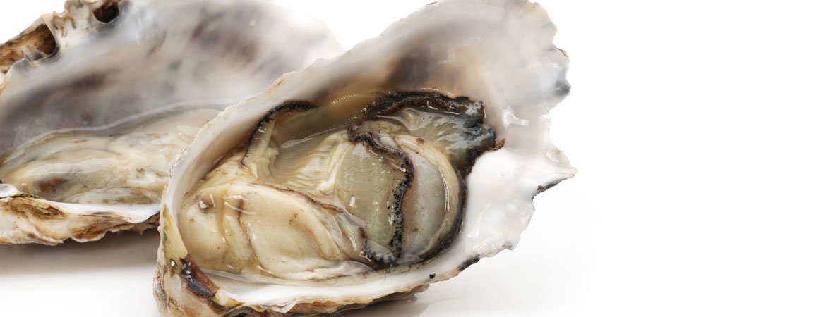 „Guinness Guide to Oysters“ ist ein schönes Beispiel für gute Unternehmenskommunikation