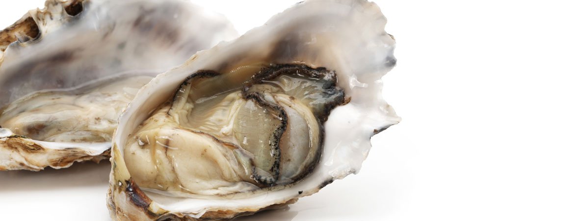 „Guinness Guide to Oysters“ „Guinness Guide to Oysters“ ist ein schönes Beispiel für gute Unternehmenskommunikation